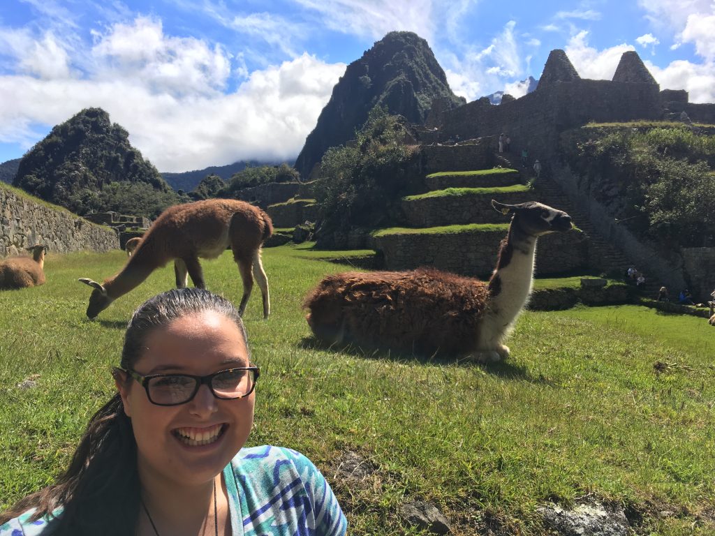 Alpacca at Machu Picchu with Adventures by Disney